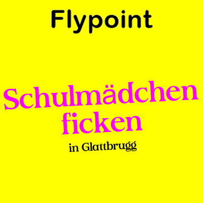 https://www.flypoint.ch/